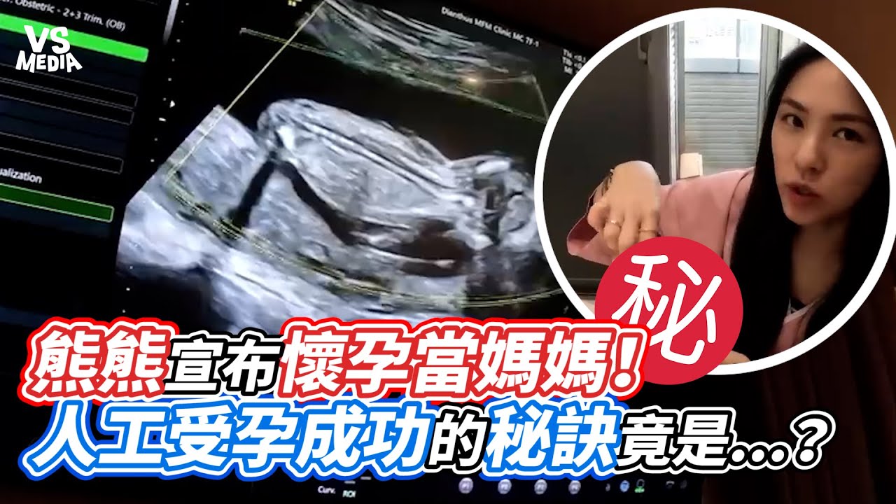 熊熊宣布懷孕當媽媽！人工受孕成功的秘訣竟是...？｜VS MEDIAｘ@BearGenie