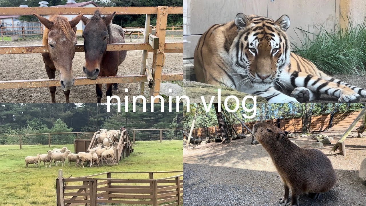 【vlog】📍那須どうぶつ王国/Nasu Animal Kingdom