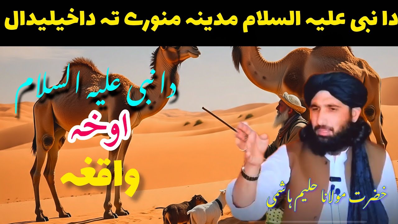 دا نبی علیہ السلام مدینہ منورہ تہ داخیلیدال او دا اوخہ واقغہ 😭 |خضرت مولانا حلیم ہاشمی صاحب بیان |