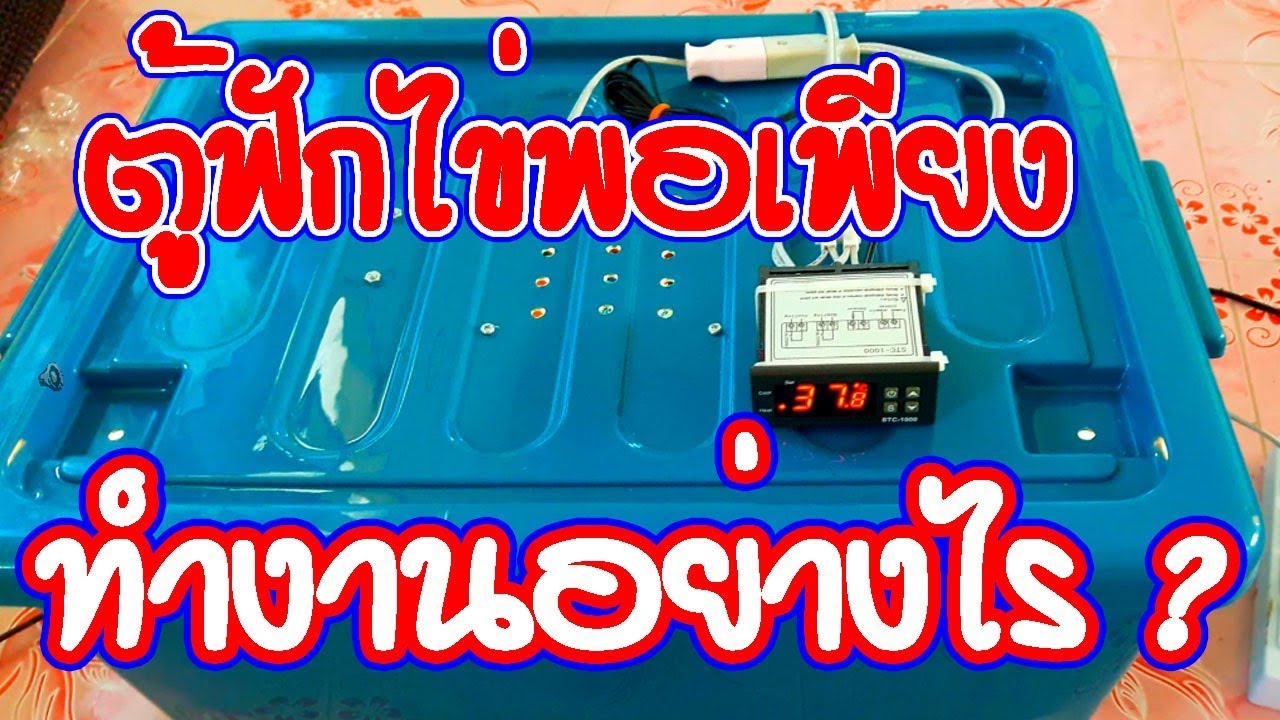 #ตู้ฟักไข่พอเพียง ทำงานอย่างไร ประหยัดคุ้มค่า