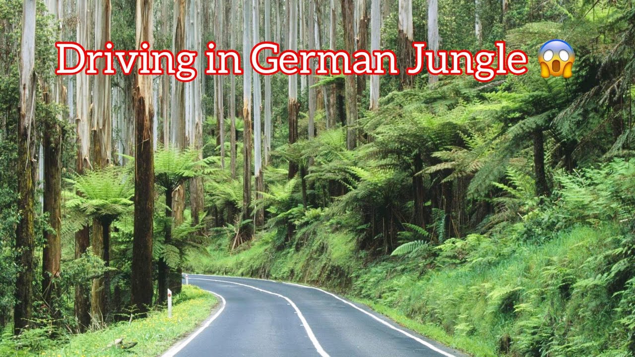 Driving in Bundesstraße2 | German Jungle Road | Schwäbisch Hall - GERMANY