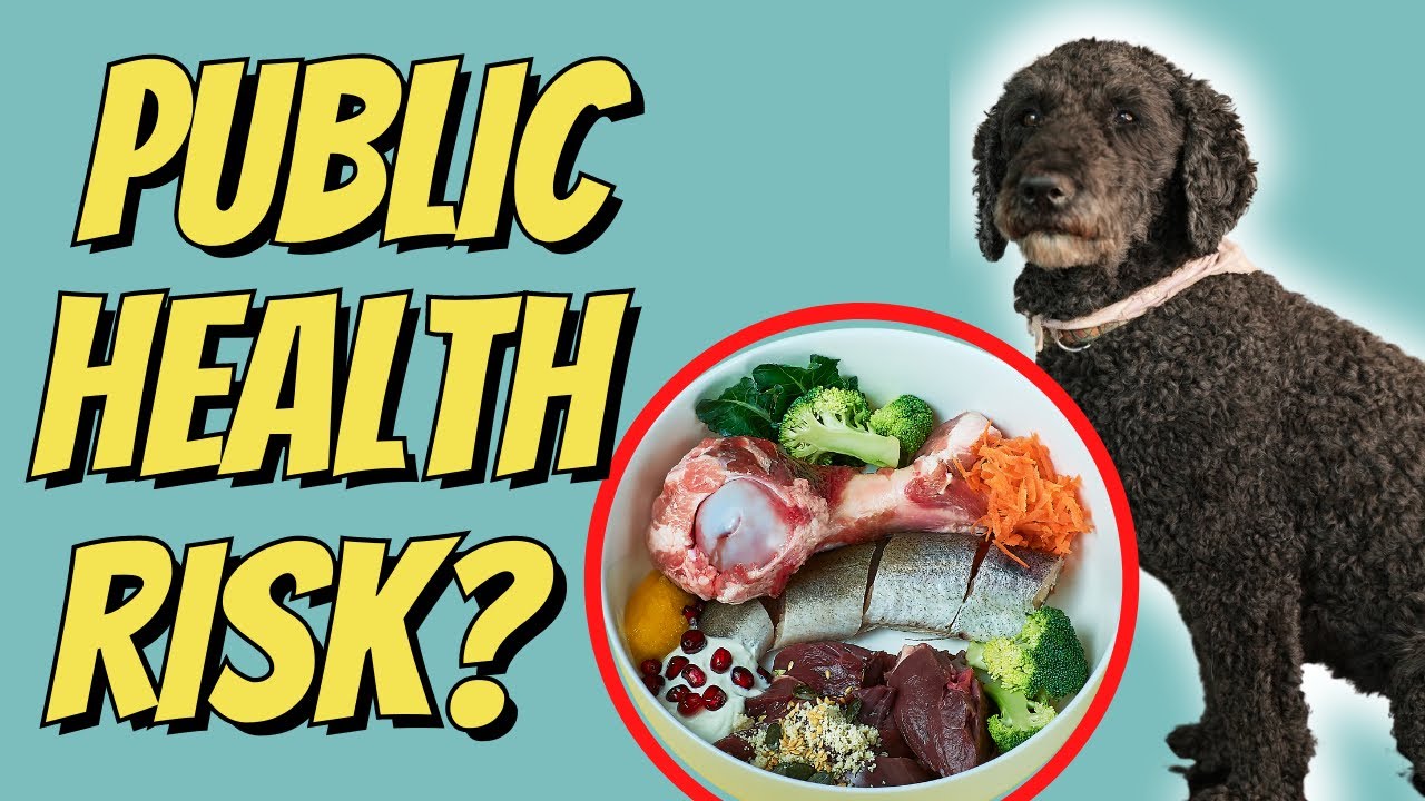 Raw Dog Food is an International Public Health Risk?