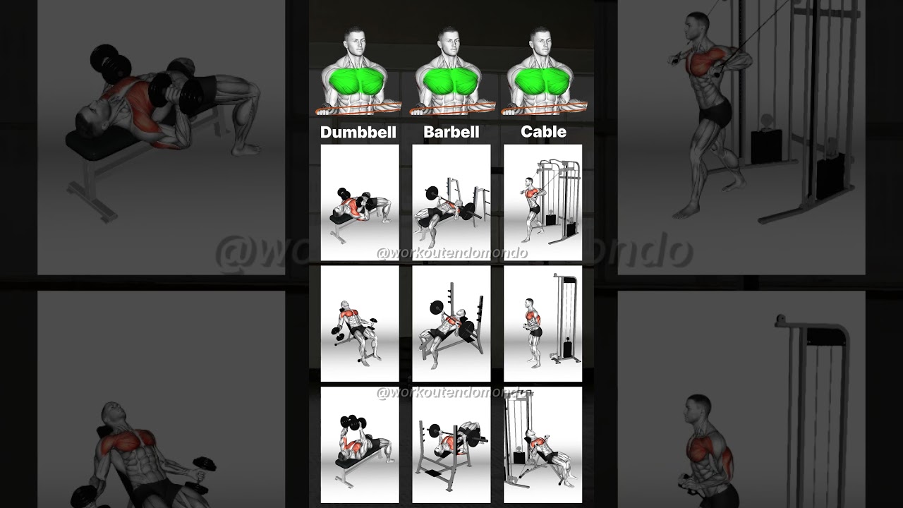 Chest Day: Maximize Gains with the Best Chest Exercises!