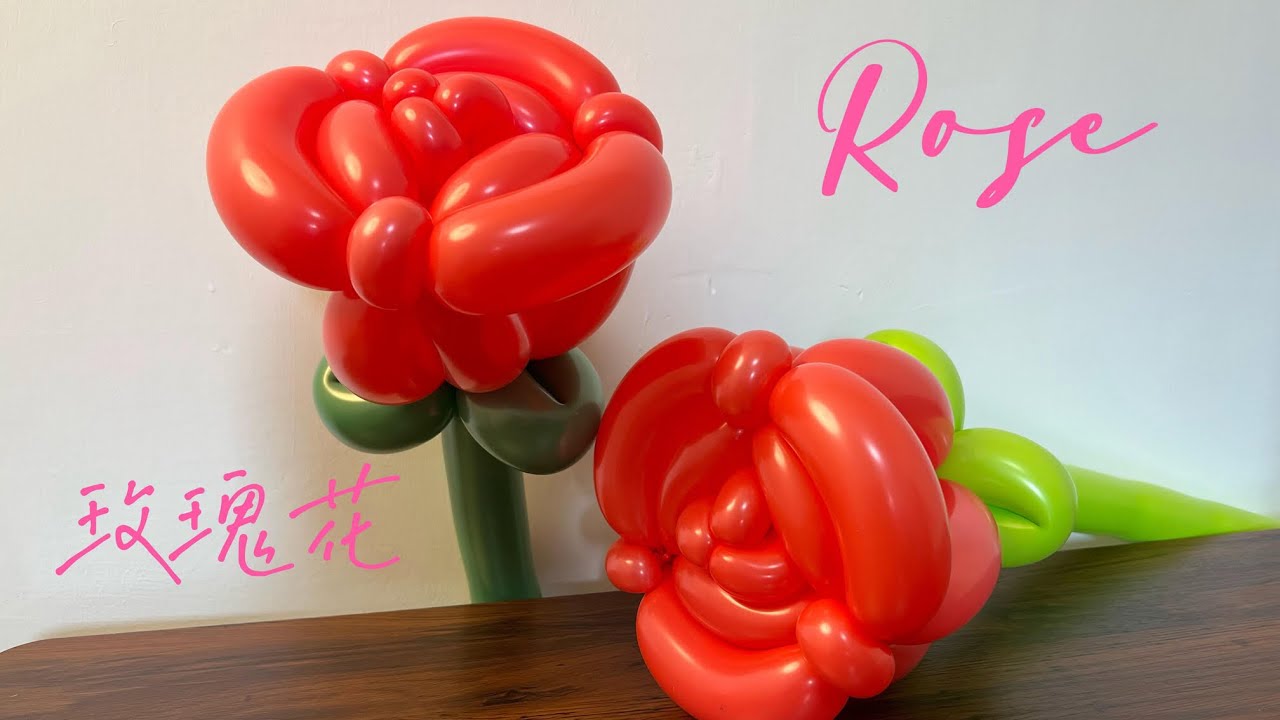 Rose Balloon玫瑰花气球造型教学 免费气球教程