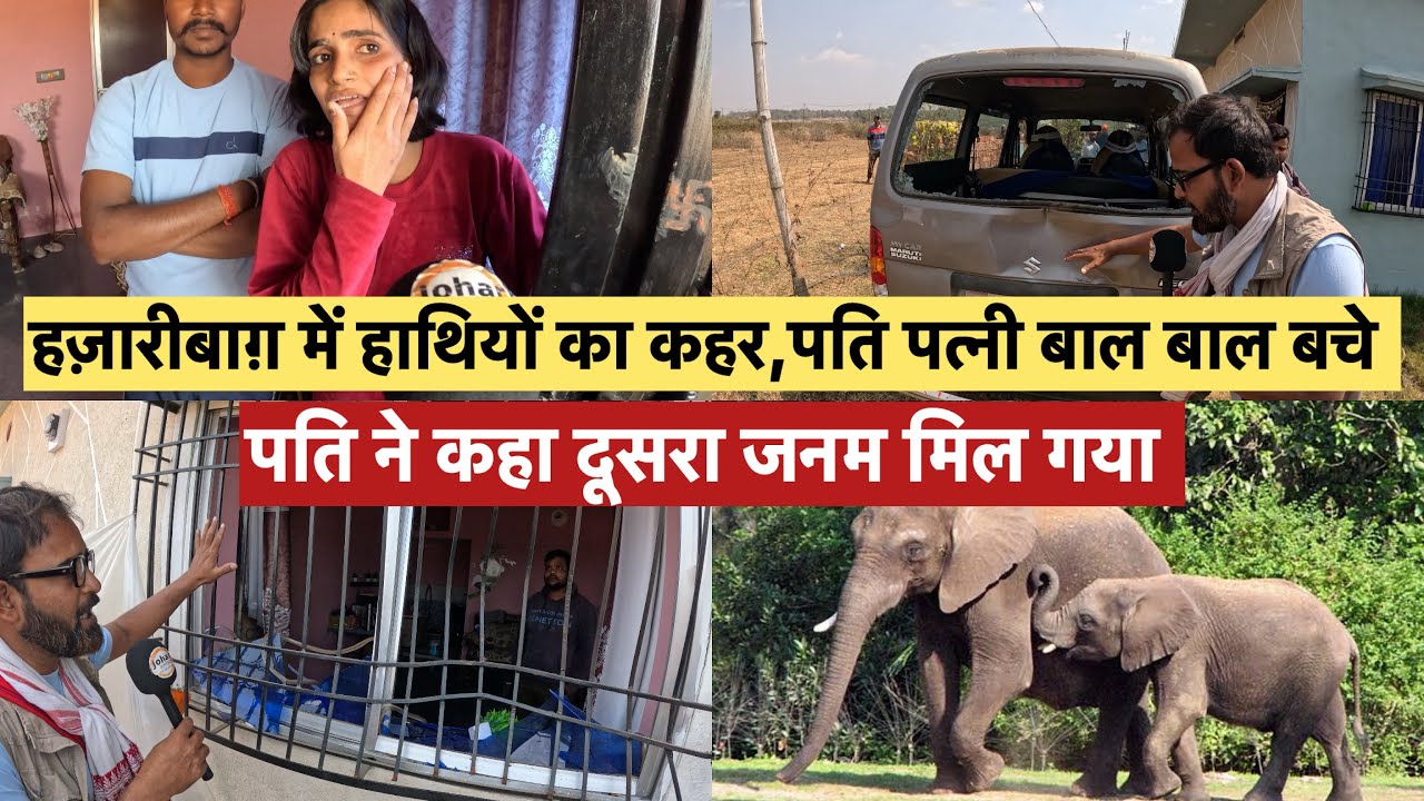 हज़ारीबाग़ में हाथियों का कहर,पति पत्नी बाल बाल बचे, पति ने कहा दूसरा जनम मिल गया #hathi #elephant
