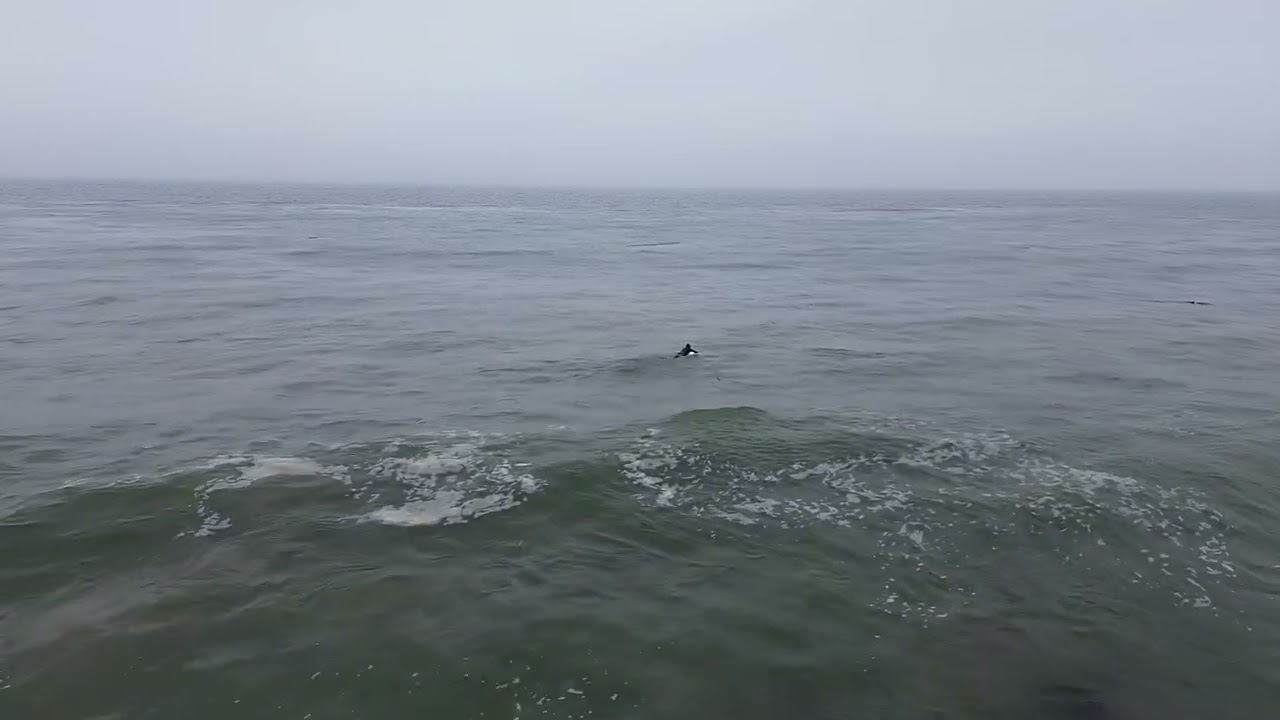 Saturday Surfers | July 2024