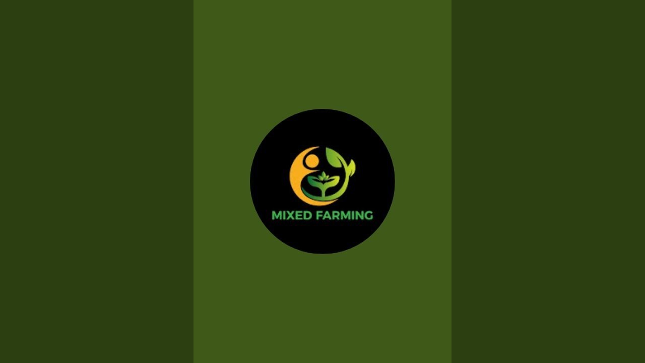 মিশ্র চাষাবাদ, আলু,ডাল,পিয়াজ,ধনিয়া, মরিচ ও লাউ!!