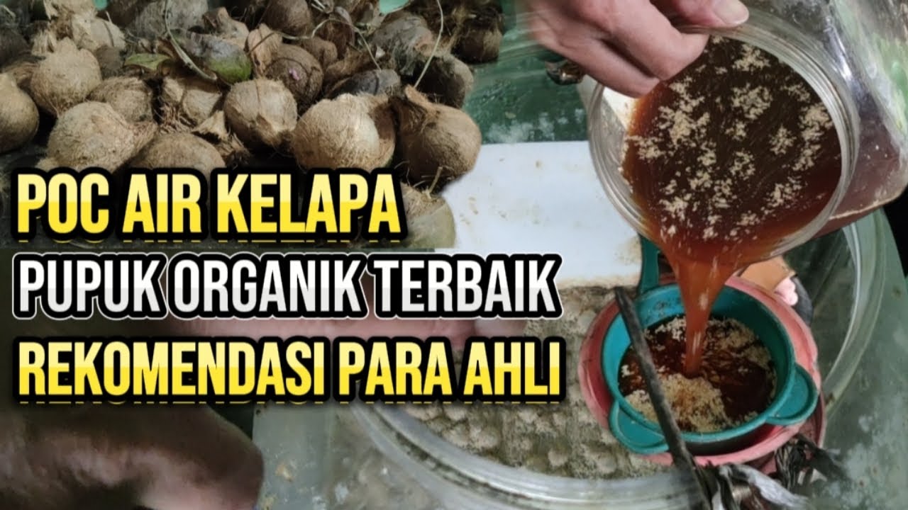 Cara Membuat Pupuk Poc Dari Air Kelapa Yang Terbaik,    Rekomendasi Para Ahli