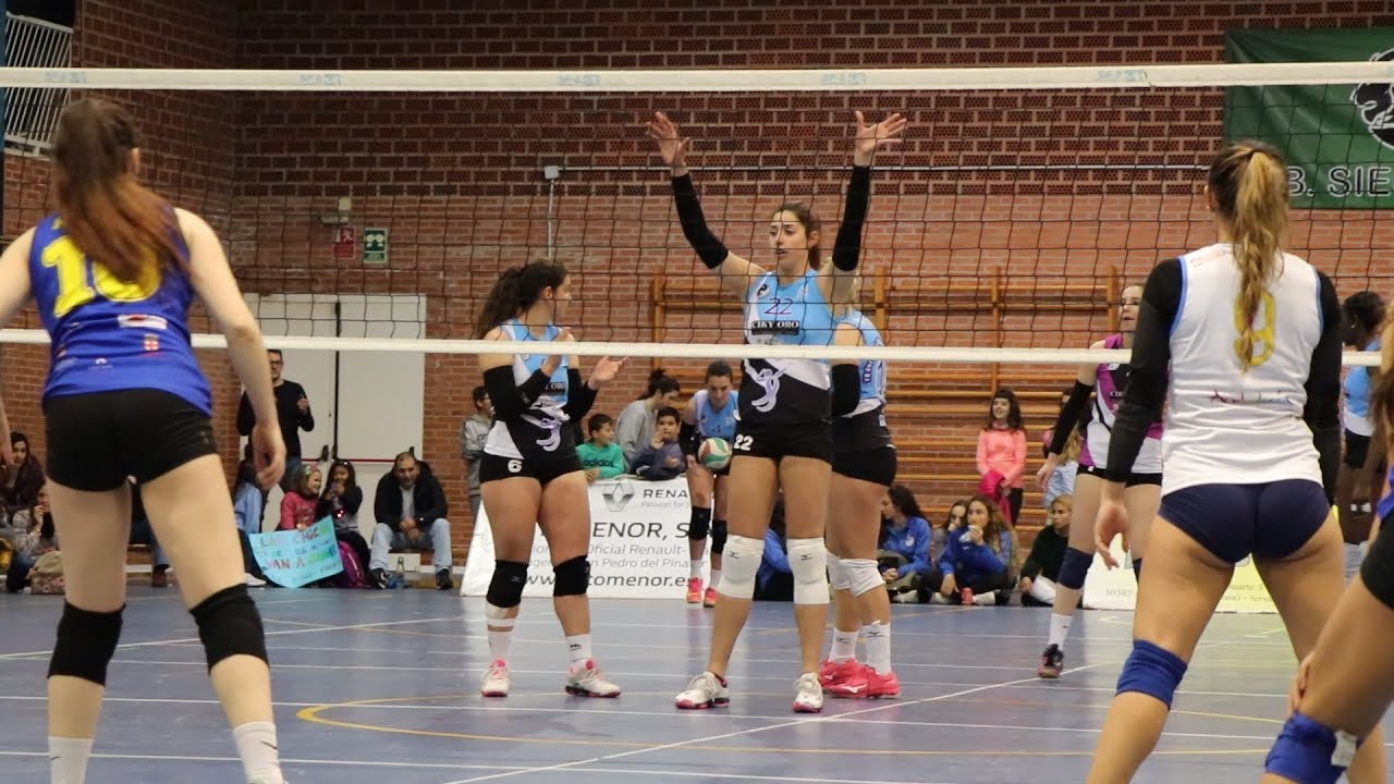 VOLEIBOL FEMENINO - AVG 2008 Vs ALGAR
