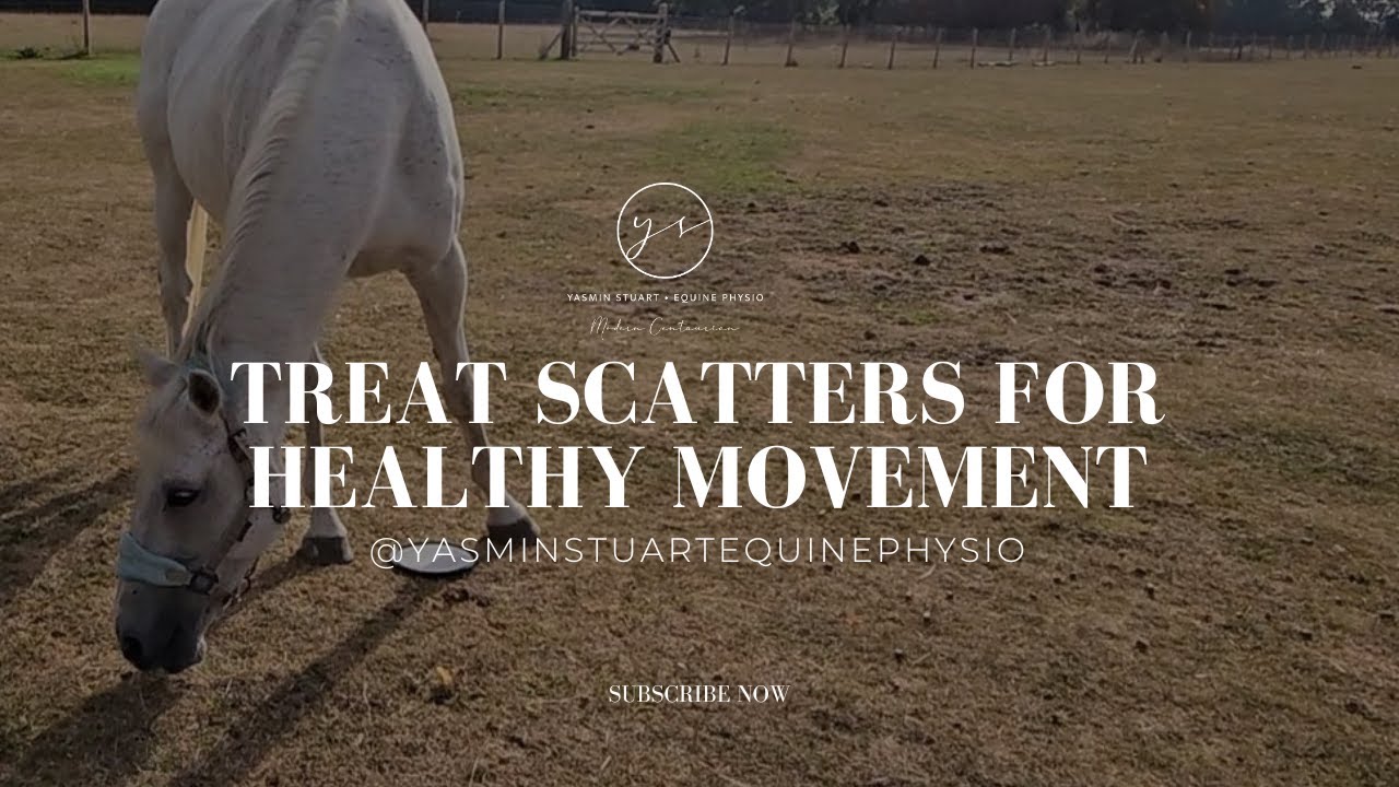 Treat Scatters for Healthy Movement