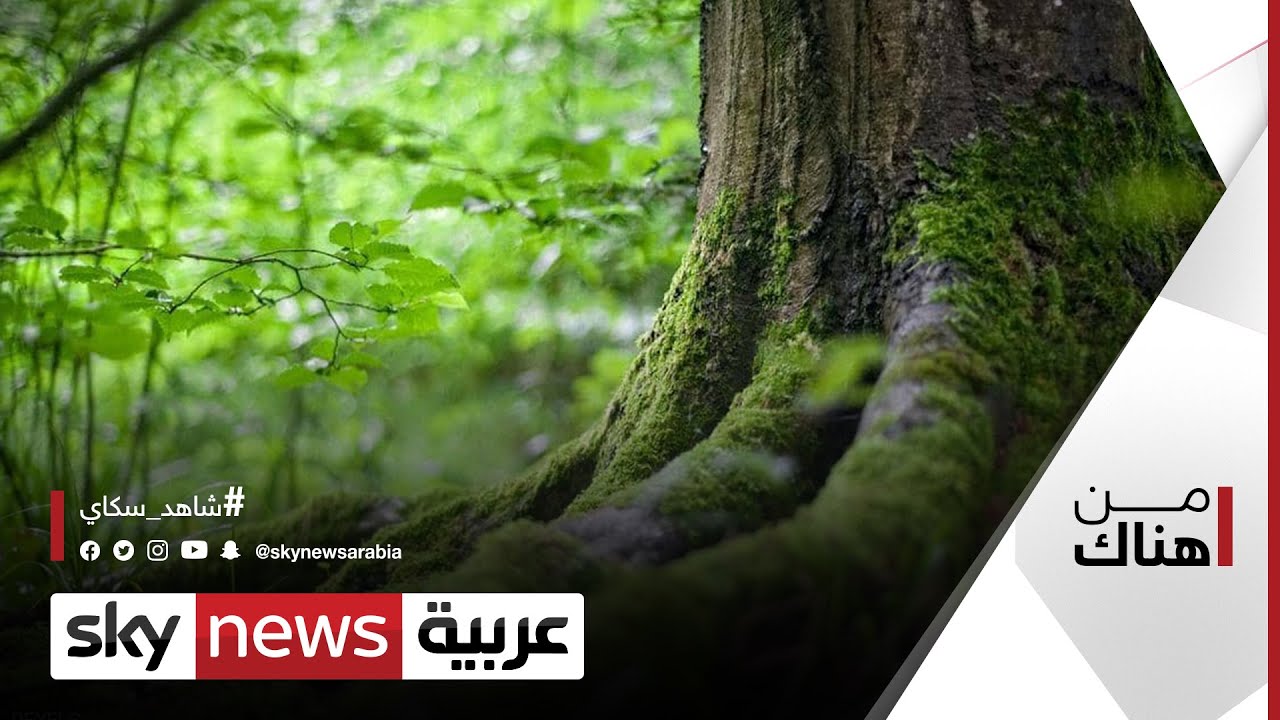 الفيوم.. أرض النباتات الطبية والعطرية | من هناك