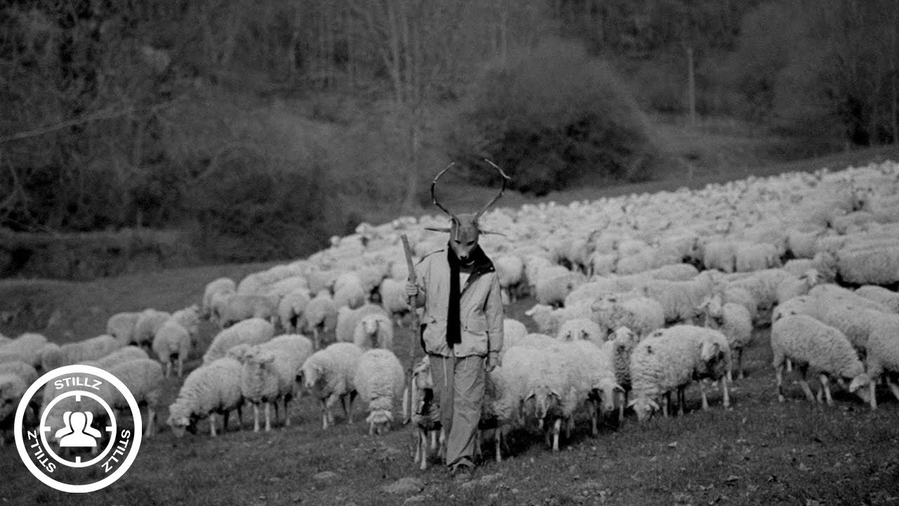 DOESN'T IT FEEL LIKE THIS WAS THE BEGINNING? (Directed by STILLZ)