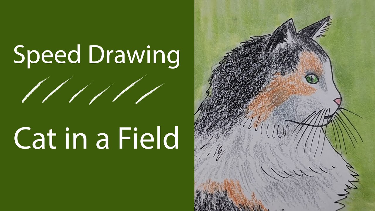 Speed Drawing | Cat in a Field | Pencil, Marker & Colored Pencils
