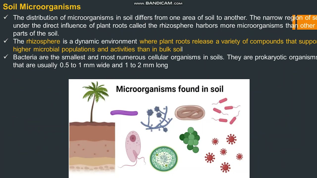 Soil - Biological Properties || Video # 4 || FCI AGM 2021 || By Praveen Sir || StudyPanel