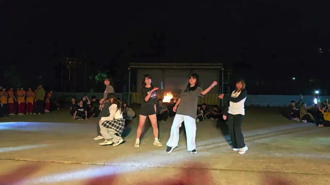 208表演