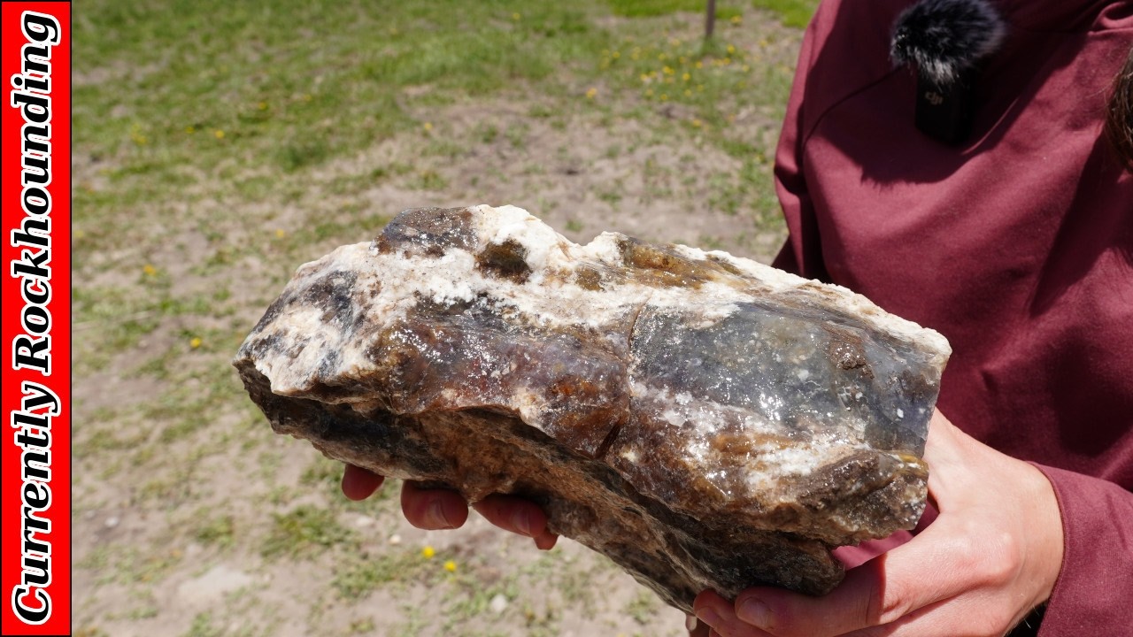 The Twisted Forest Trailhead Agate Locality