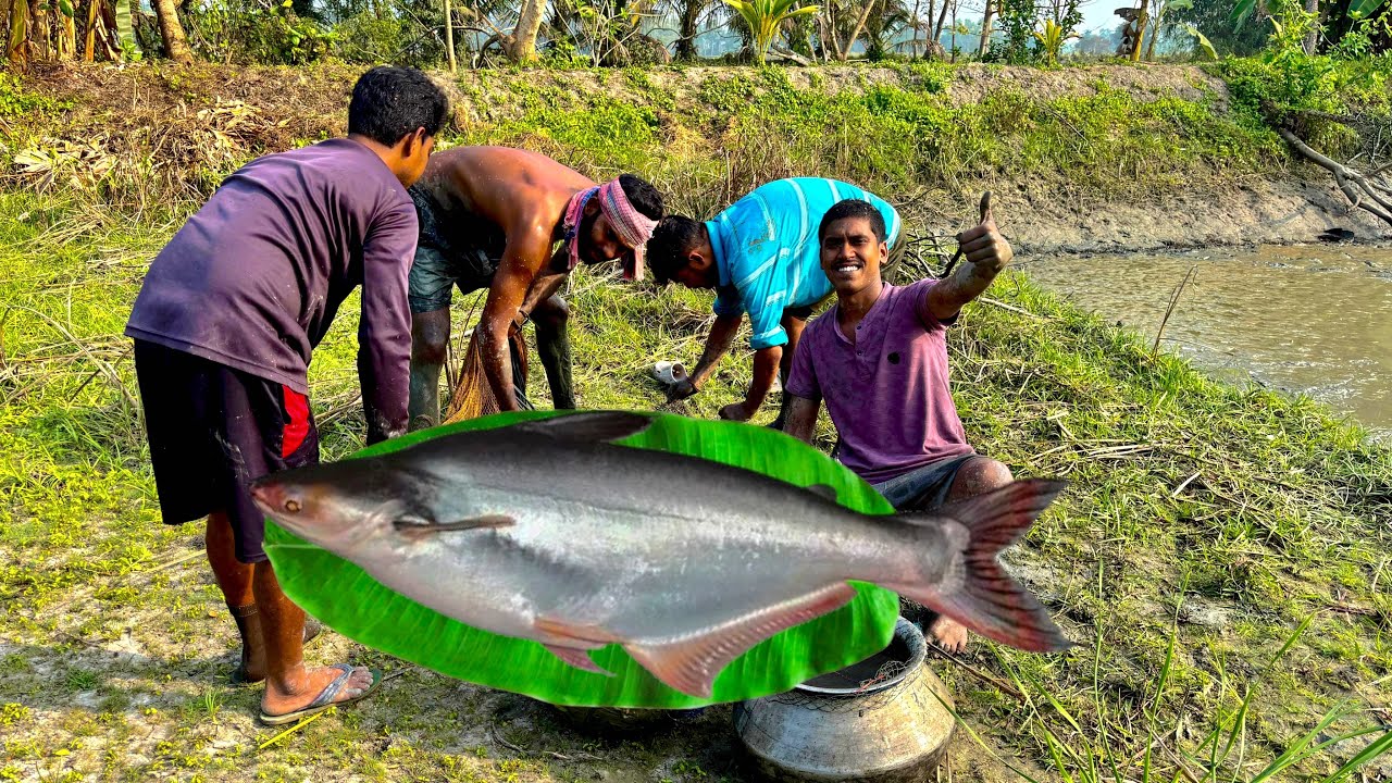 সুমনদার পুরনো বন্ধুর বাড়িতে আজ পুকুর সেচে মাছ ধরলাম। 🐟🐟