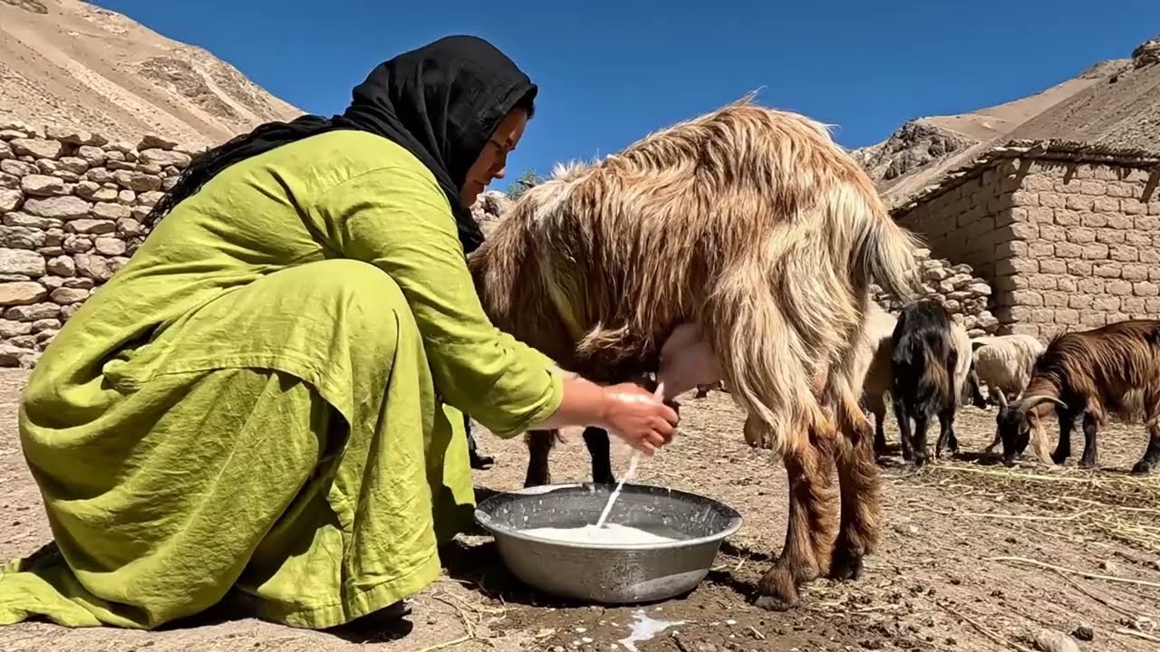 Afghan Mountain Lifestyle | Traditional Cooking Methods & Life in the Remote Highlands