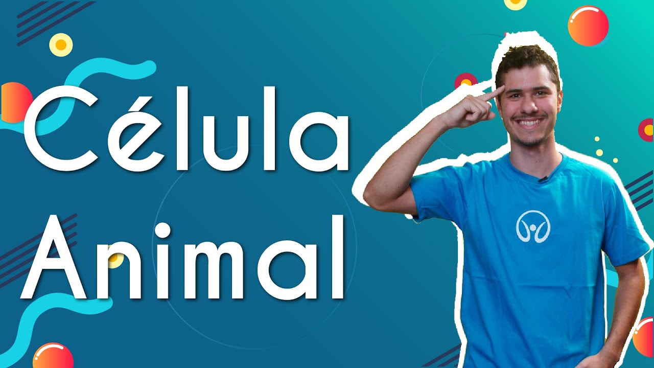 Célula Animal - Brasil Escola