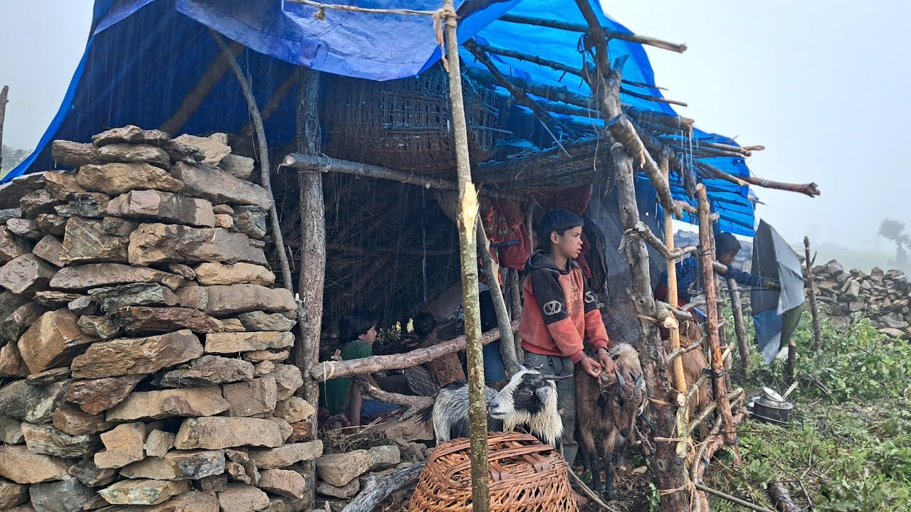 Heavy rain fall day in nepal | nepali himalayan village life during the rain season |