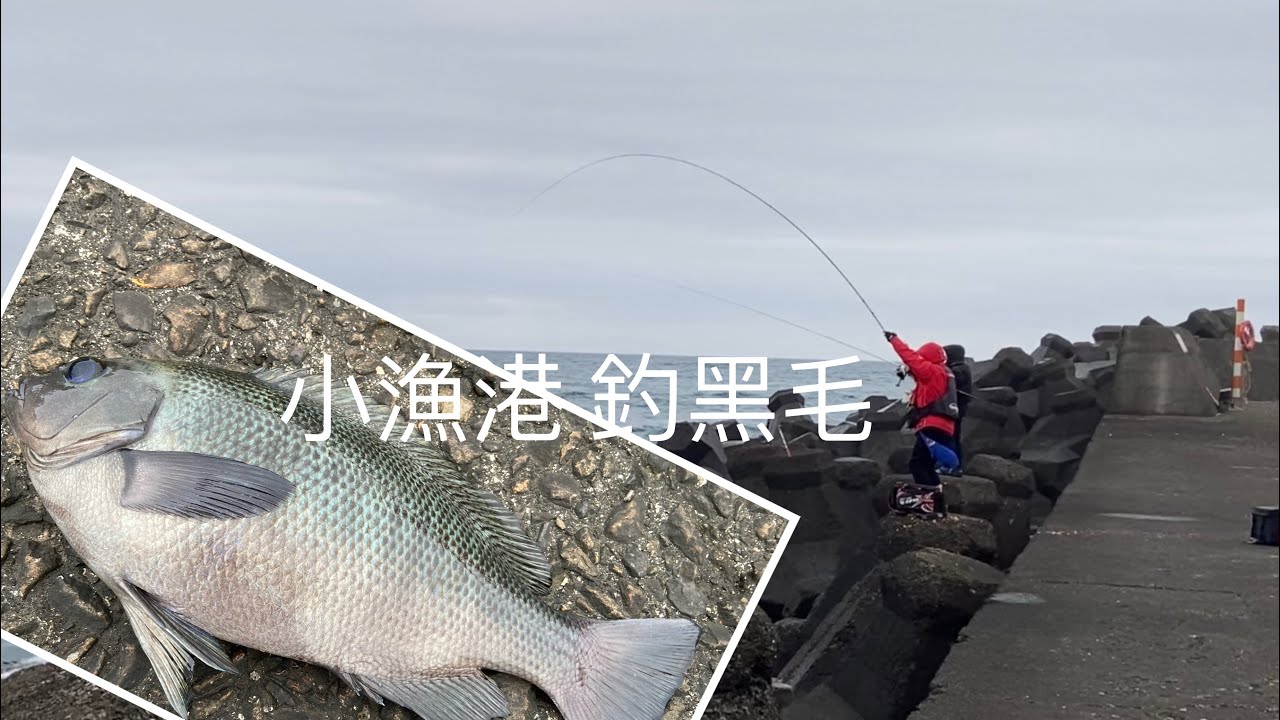 [ 東北角釣點分享 ]  東北角 濱海公路 小漁港 釣魚 黑毛釣點  釣況分享 ！！ 記得 訂閱 才能收到第一手釣況資訊 謝謝！！