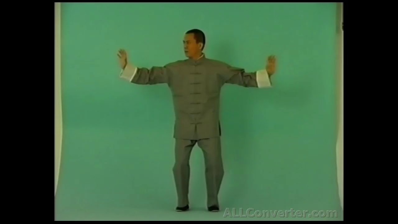Dadi Qigong von und mit Dr. med. Weizhong Sun