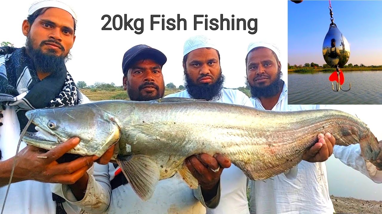 Amazing Big Pathan fish 20 kg || Ahtesham khan fishing