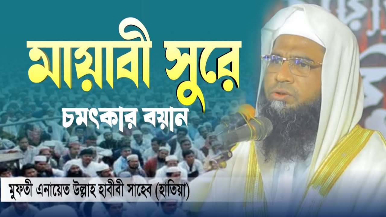 মায়াবী সুরে চমৎকার বয়ান..! মুফতী এনায়েত উল্লাহ হাবীবী সাহেব হাতিয়া