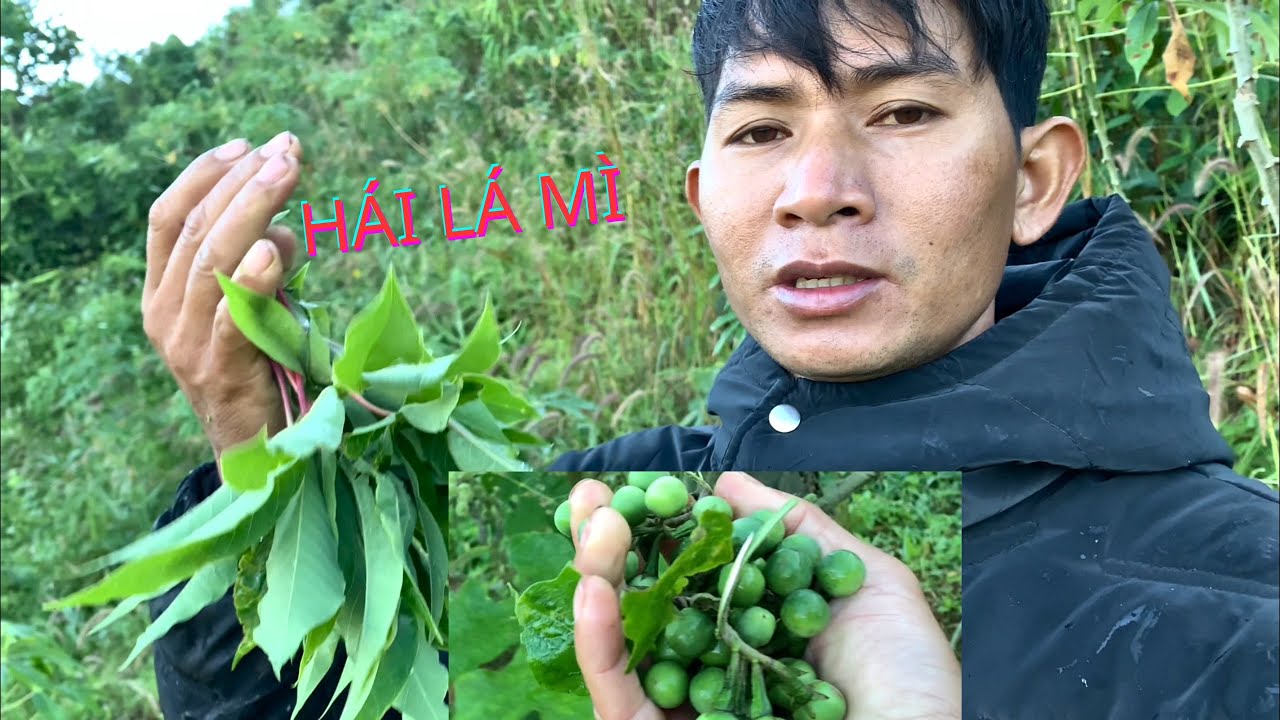 LÀM MÓN LÁ MÌ ĂN CƠM SÁNG | MÓN HAO CƠM 