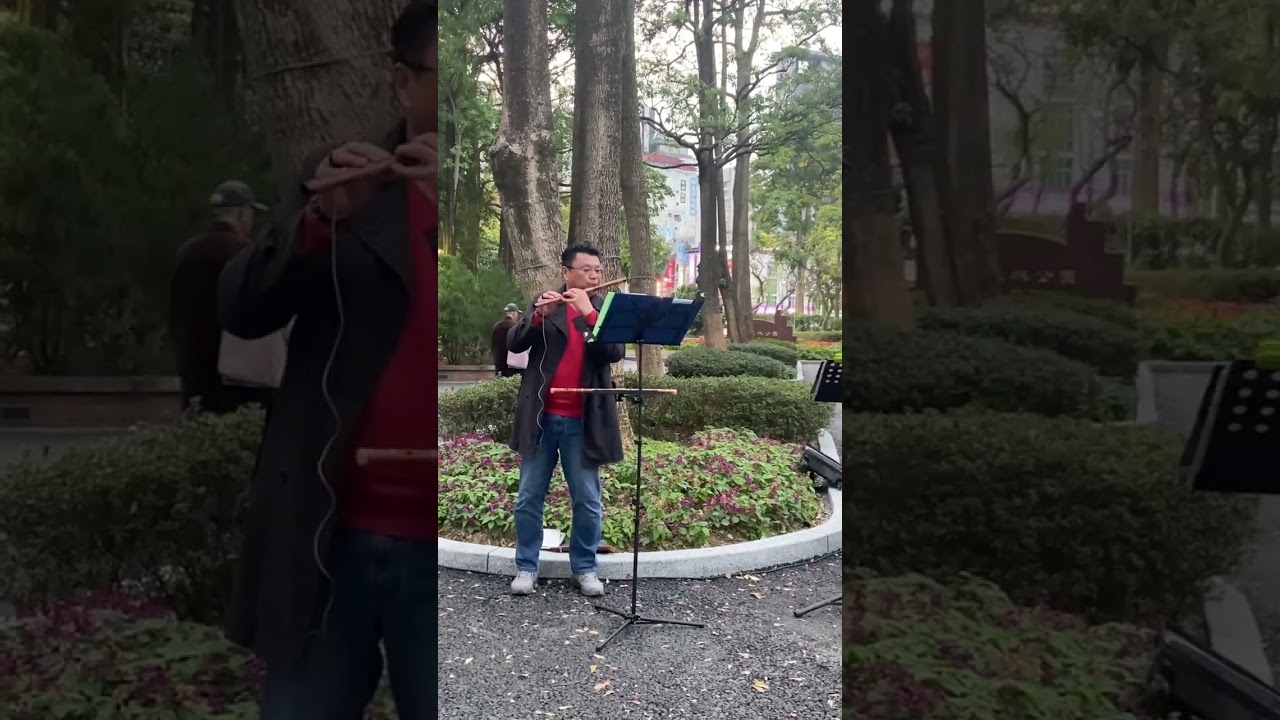 柳笛吹奏竹笛/“雪落下的聲音”/台北大安森林公園（115/2/19）