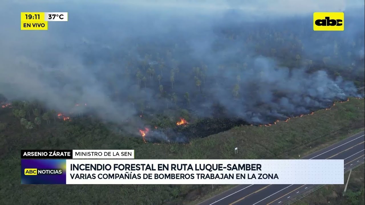 Incendio arrasa varias hectáreas al costado de la ruta Luque - San Ber: fuego fue provocado, afirman