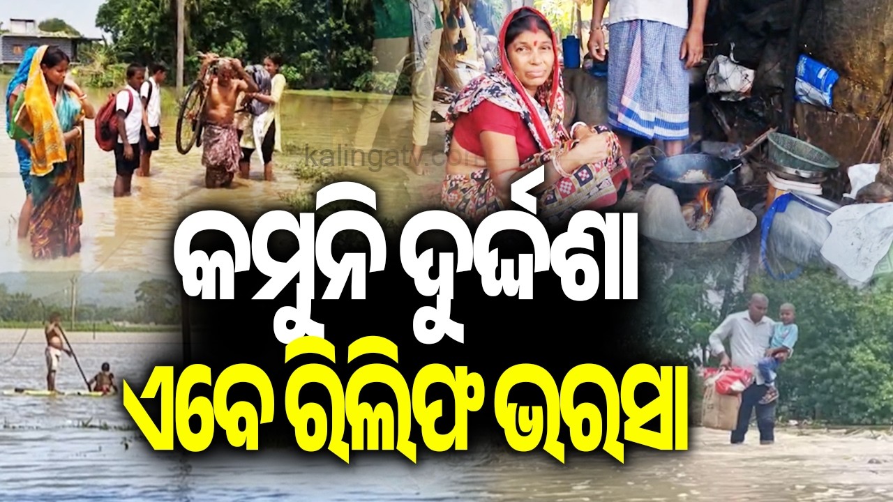 Bhadrak Flood Victims Await Relief as Farmers Suffer Crop Losses After Waterlogging || Kalinga TV