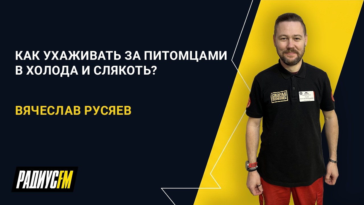 Как ухаживать за питомцами в холода и слякоть?