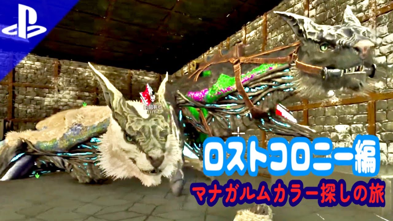 【雑談ARK】ASAロストコロニー編:150のメガラプトルテイムなるか！？マナガルムと雪フクロウも探し中。なんもかんも上手くいかなくてなぜかデスモダステイム