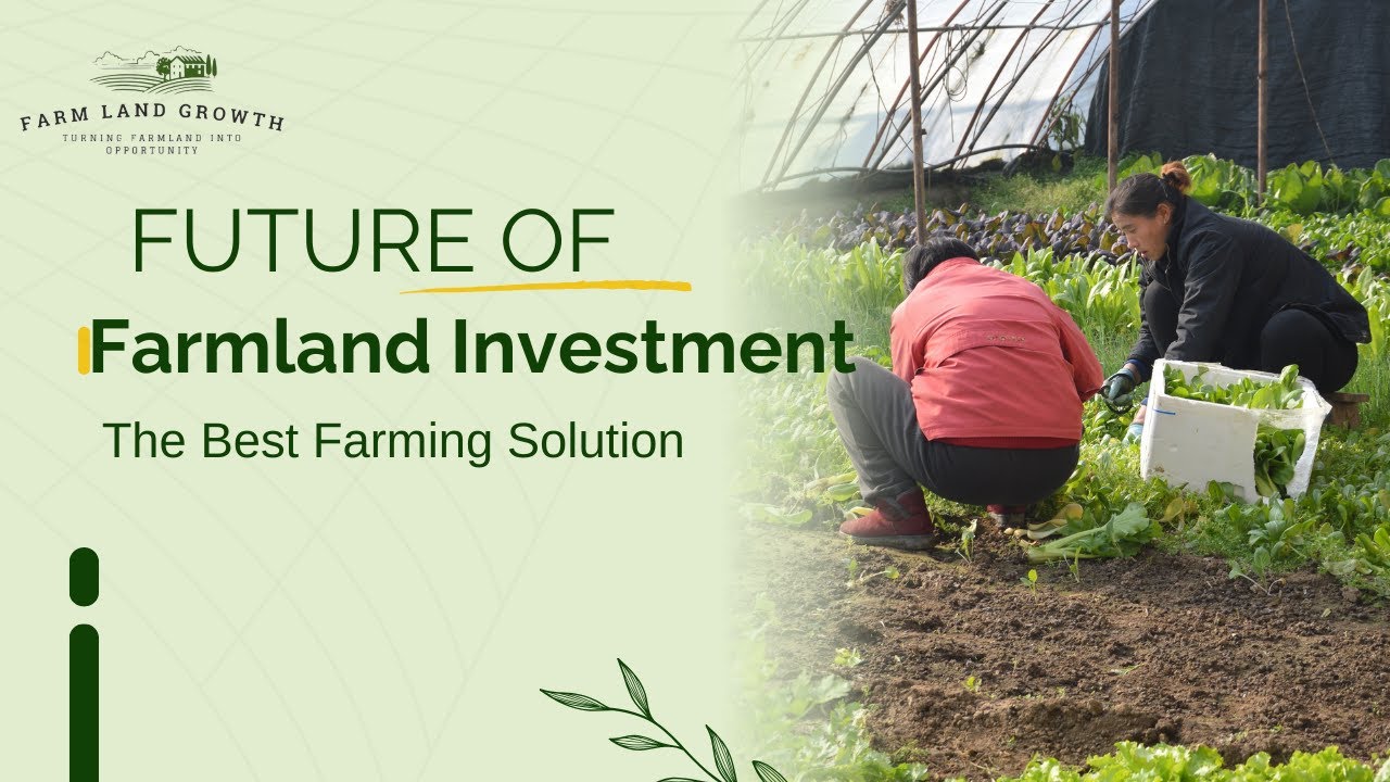 Farm Land Growth: The Future of Farmland Investment