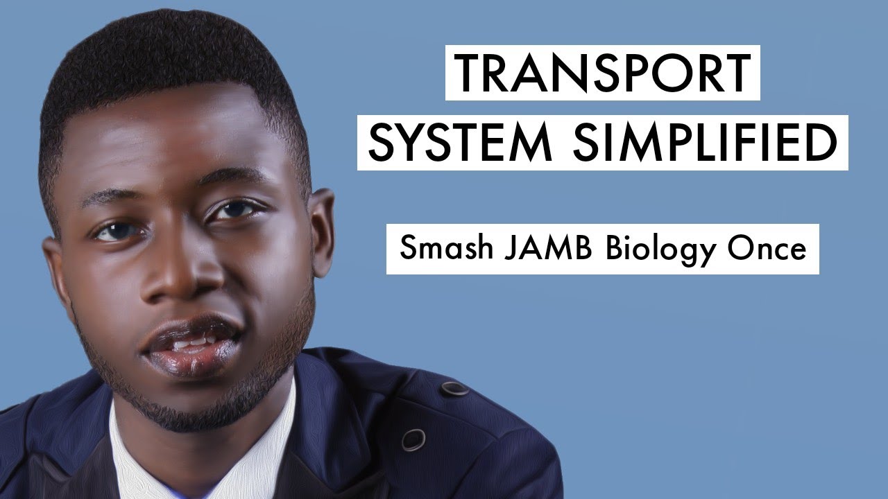 JAMB Biology CBT Tutorial 2026 Questions On Transport System (Top 20)