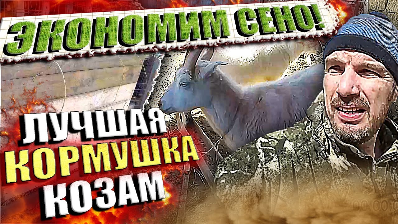 Лучшая кормушка для коз. \\ Минимальная потеря сена. \\ Делюсь опытом.