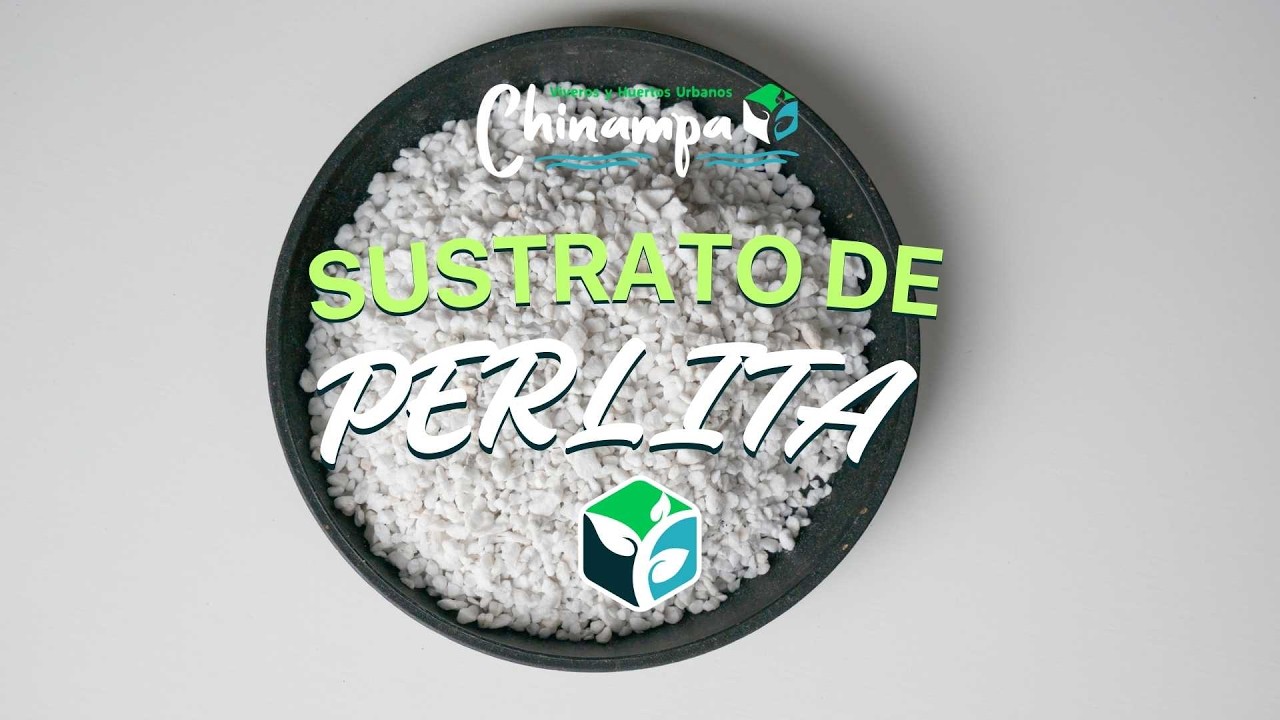 Sustrato De Perlita ¡Ligereza y libertad para tus raíces! ☁️✨