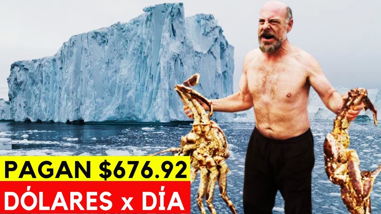 10 Trabajos Bien Pagados que NADIE Quiere Hacer en Canada 2023 | DesafioTorontoJC