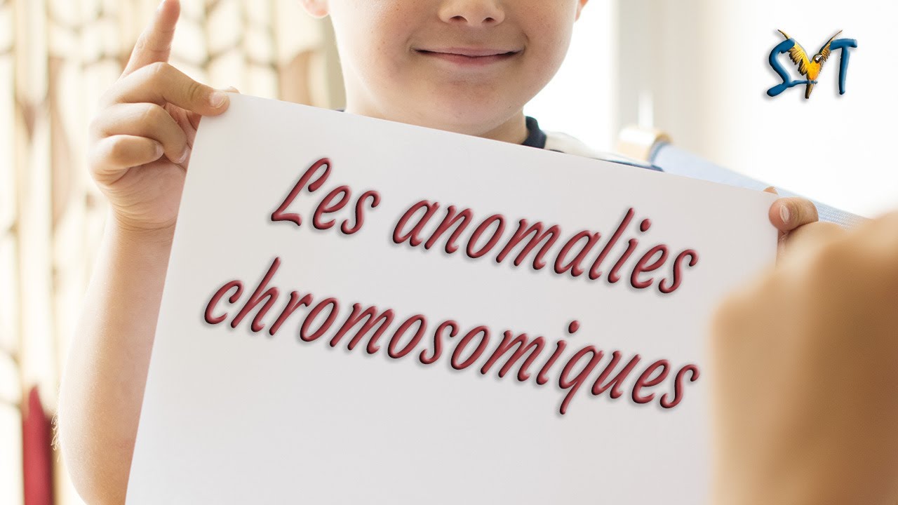 Anomalies chromosomiques