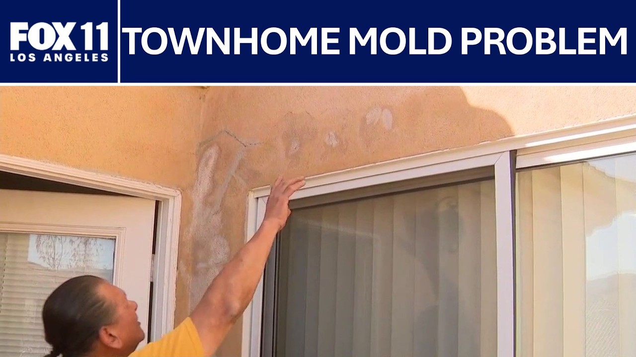 Canyon Country residents complain of mold in home