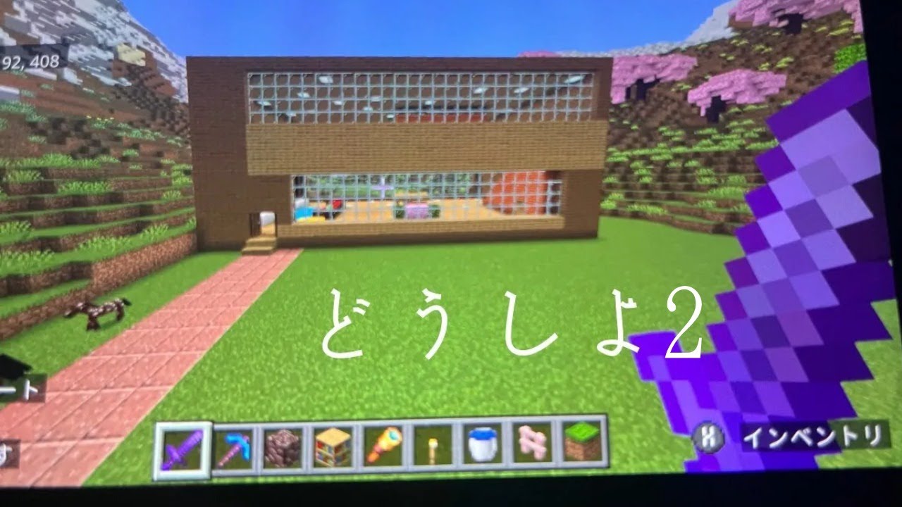 マイクラ解決してない問題￼￼