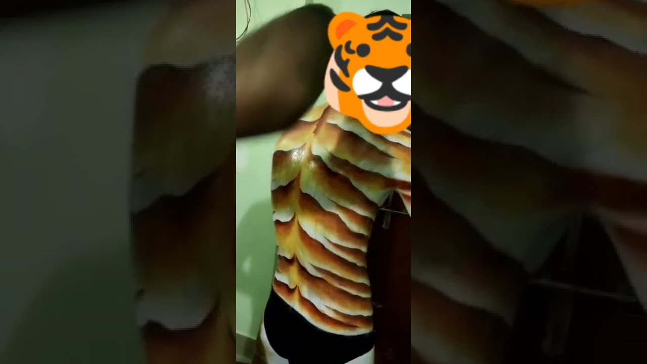 How Tigers are Painted - Bagh Paint Hote Hue
