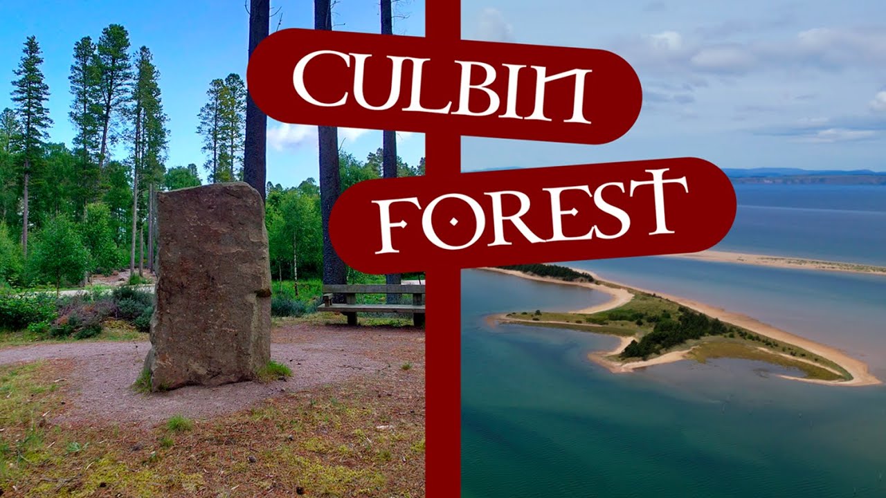 Culbin Forest, Hill 99