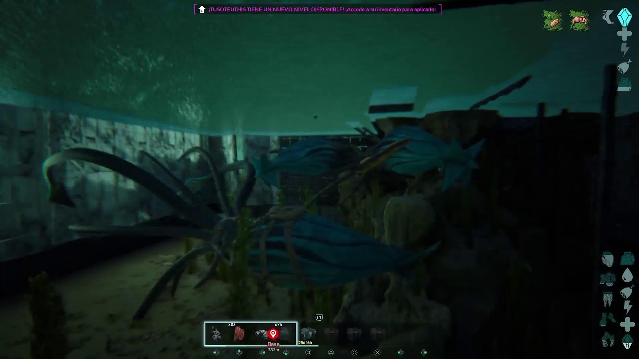 ARK SURVIVAL ASCENDED/pvp/ sever oficial / 🦕🦖🦑🐙🎮