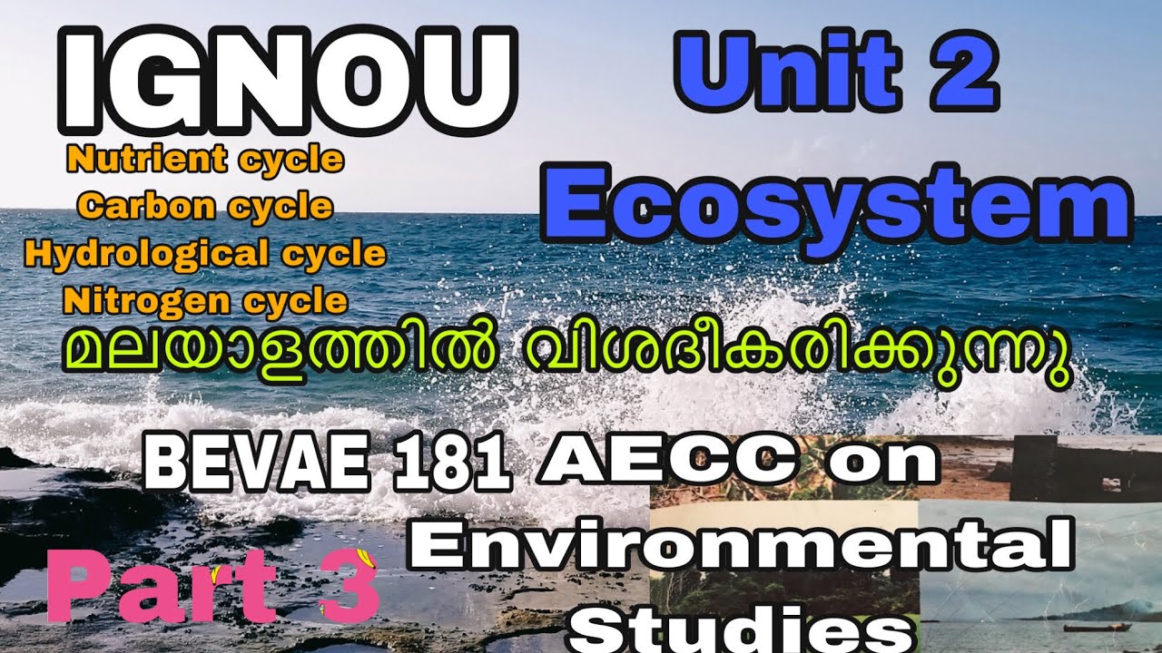Ignou BEVAE 181 Environmental Studies  Unit 2 Ecosystem