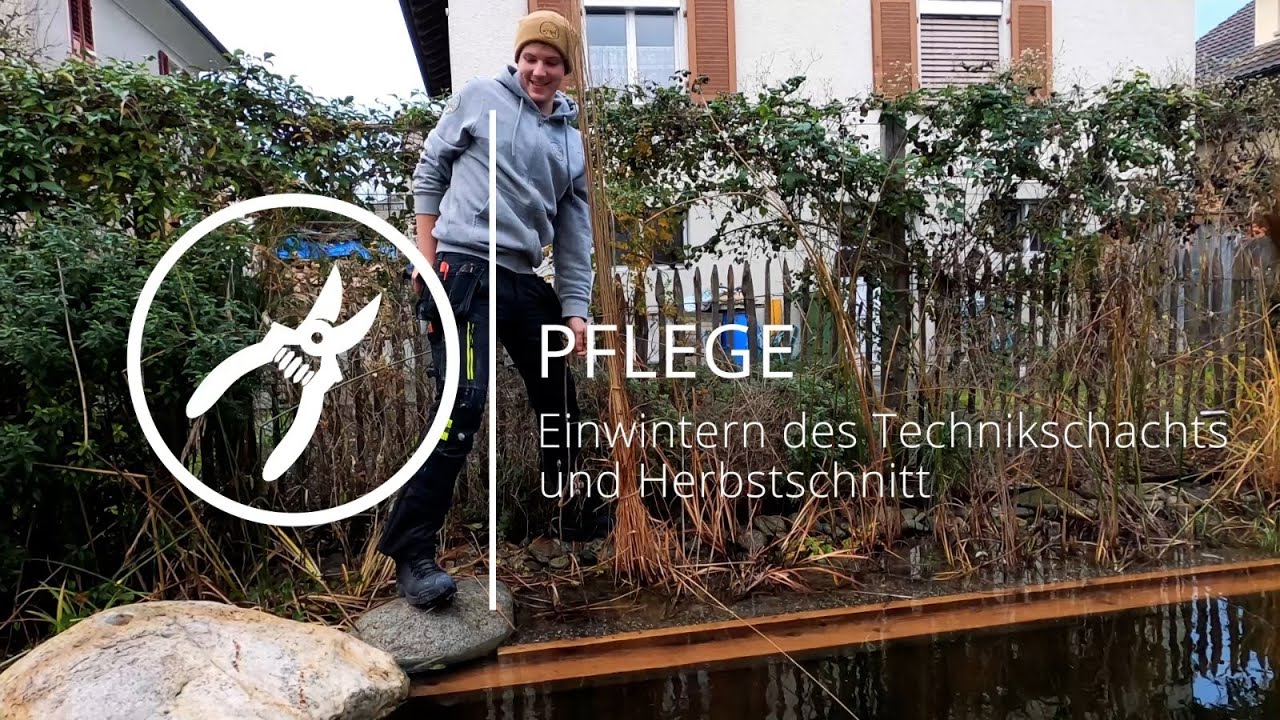 Schwimmteich Pflege Herbstschnitt