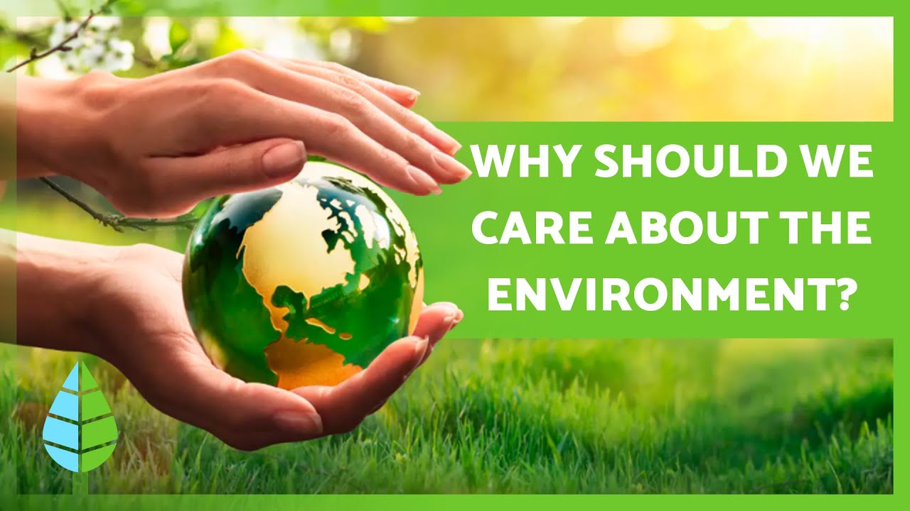Важность ЗАБОТЫ об окружающей СРЕДЕ🌏🌿
