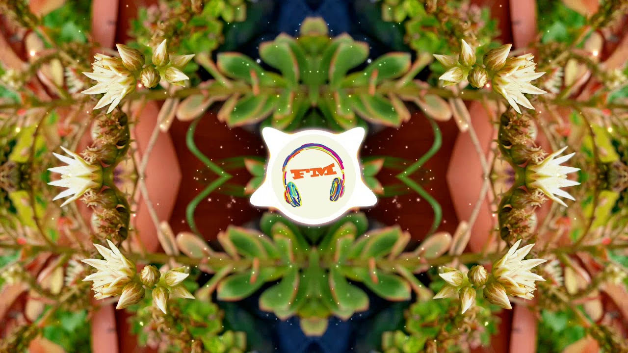 😁Meet & Fun!😁  🌴 Ofshane 🐦 Uplifting 😄 Happy Mood 😛 Feelings 🥳 Vacation 🏝️  Mood Switch 🏖️  2021 🏖️
