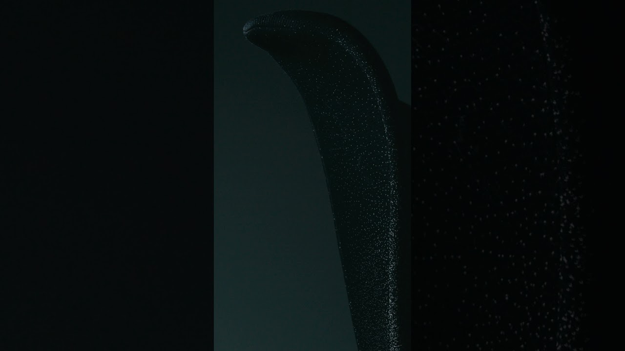 MOROSO - PAGE ONE - TEASER SALONE DEL MOBILE 2024